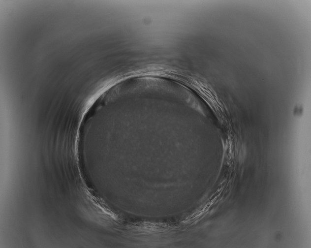 X0000095950292200801181428