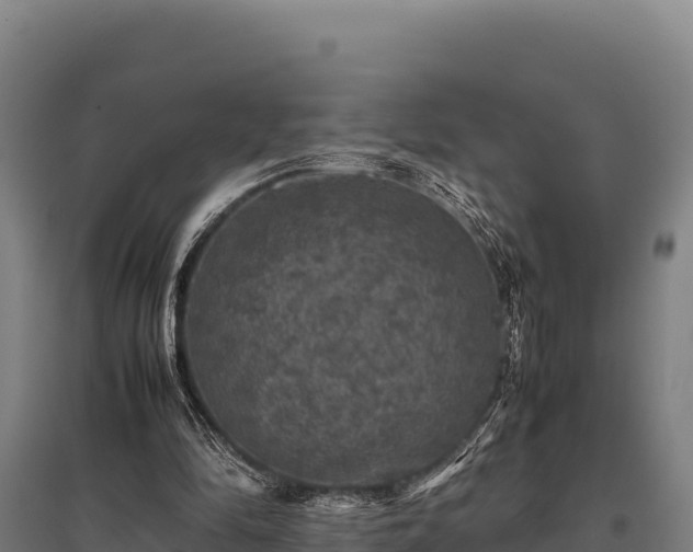 X0000095950294200801181428