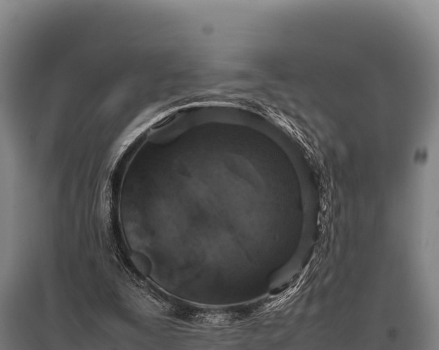 X0000095950295200801181428