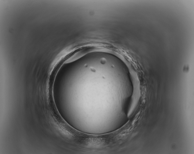 X0000095950296200801181428