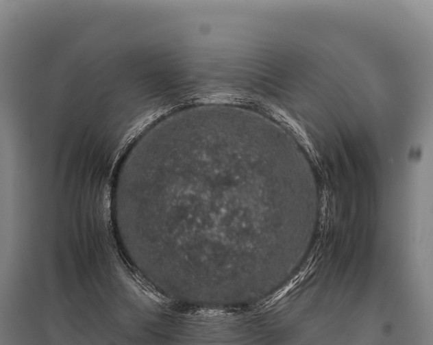 X0000095950298200801181428