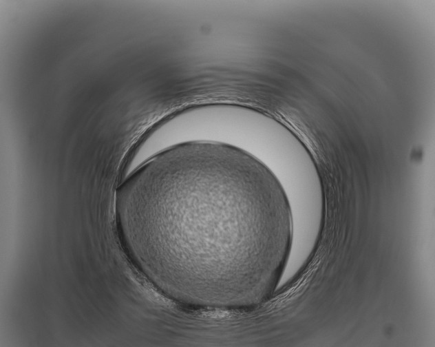 X0000095950301200801181428