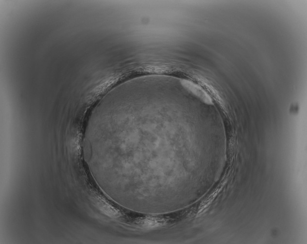 X0000095950305200801181428