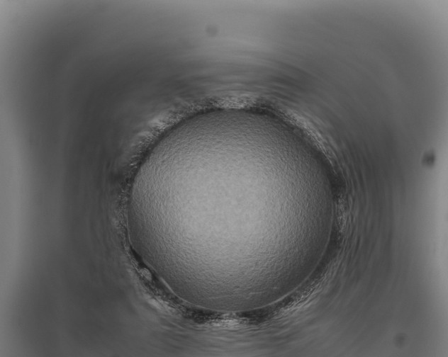 X0000095950307200801181428