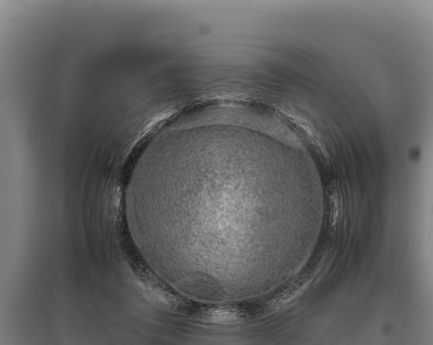 X0000095950308200801181428