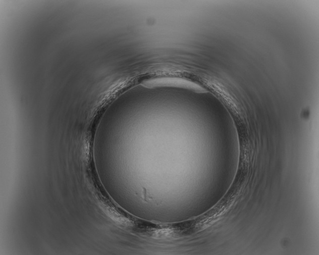 X0000095950309200801181428