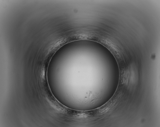 X0000095950310200801181428