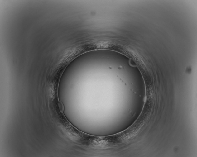 X0000095950311200801181428