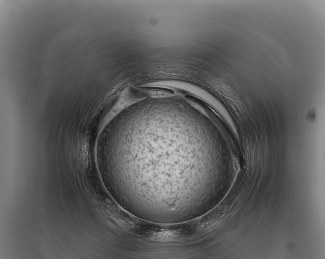 X0000095950312200801181428