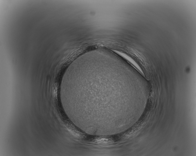 X0000095950315200801181428