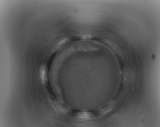 X0000095950316200801181428