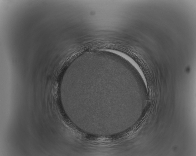 X0000095950319200801181428