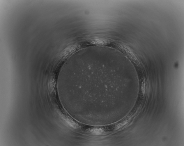 X0000095950322200801181428