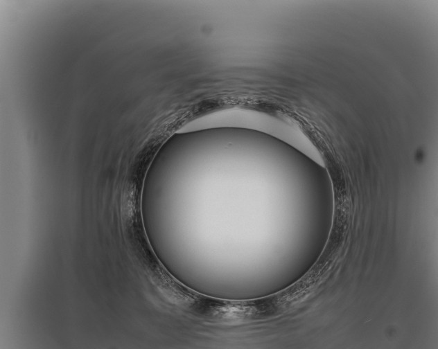 X0000095950323200801181428