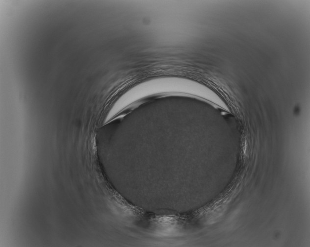 X0000095950325200801181428