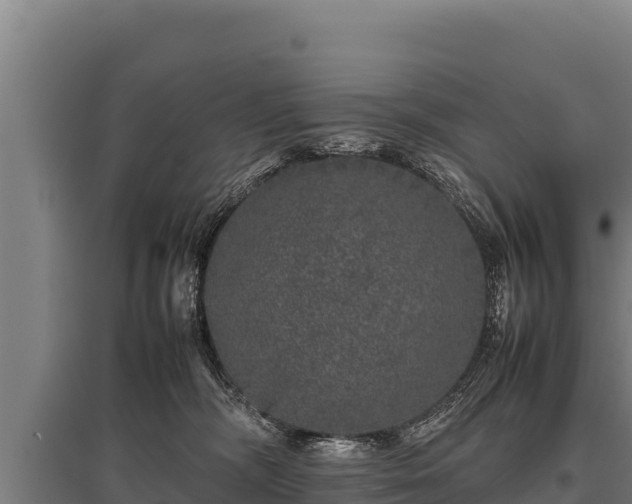 X0000095950326200801181428