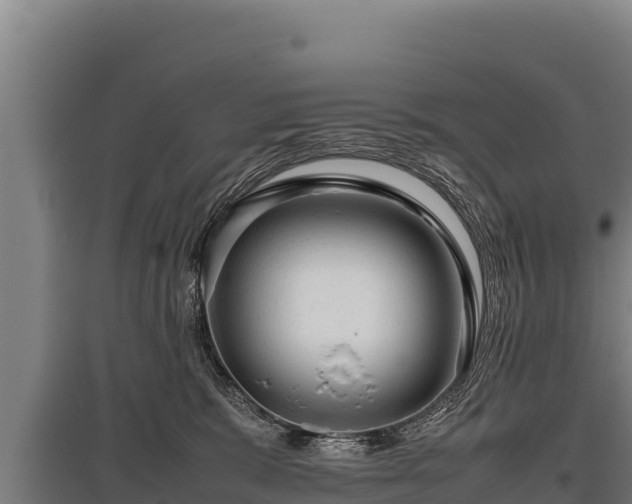 X0000095950327200801181428