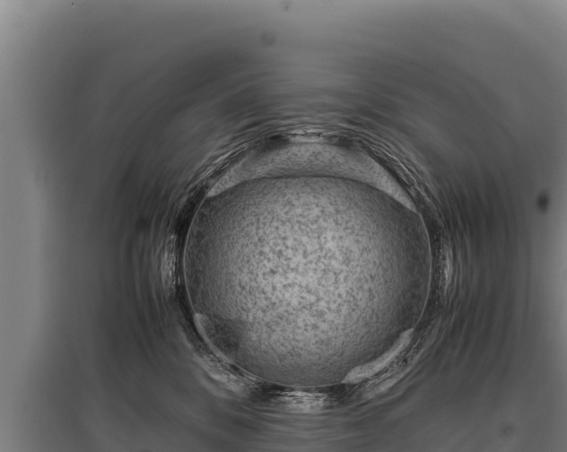 X0000095950328200801181428