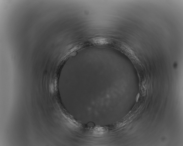 X0000095950330200801181428