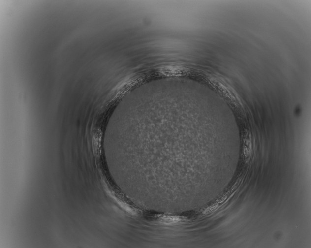 X0000095950332200801181428