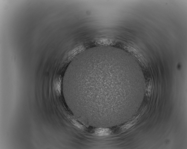 X0000095950334200801181428