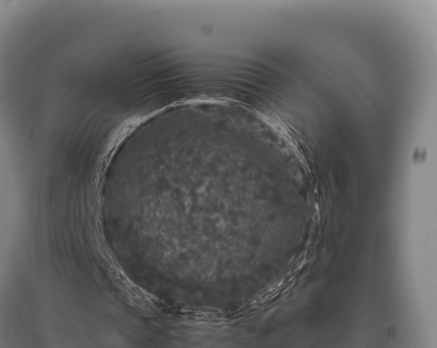 X0000095950337200801181427