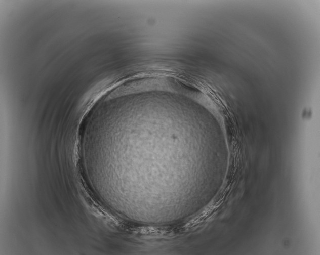 X0000095950338200801181427