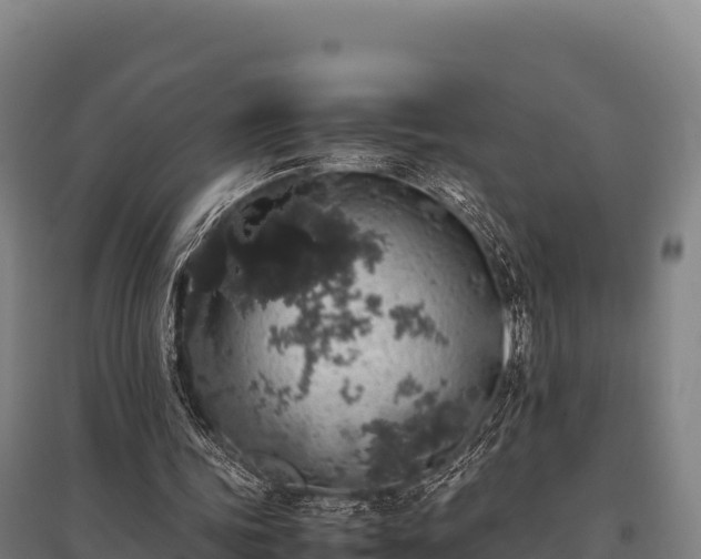 X0000095950339200801181427