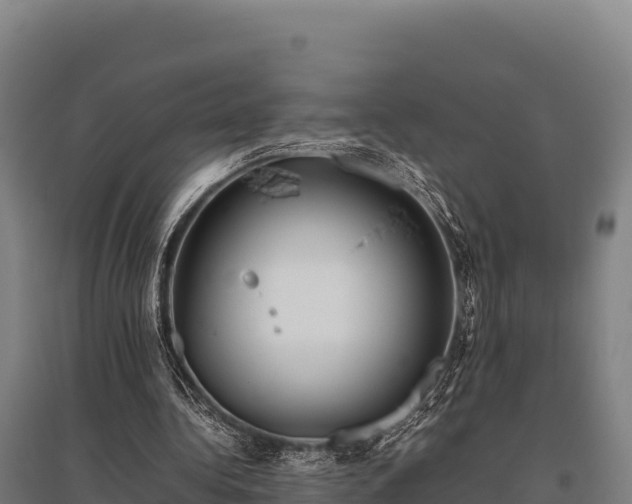 X0000095950340200801181427