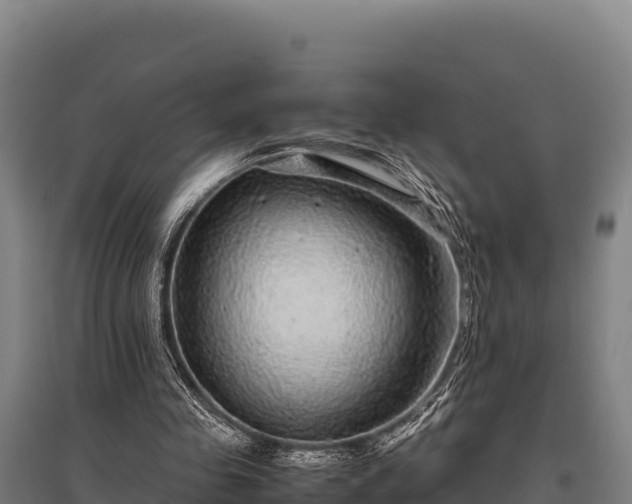 X0000095950341200801181427