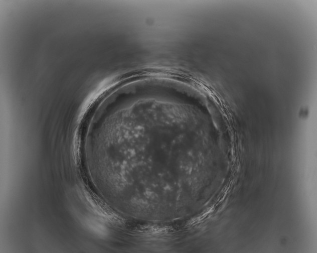 X0000095950343200801181427