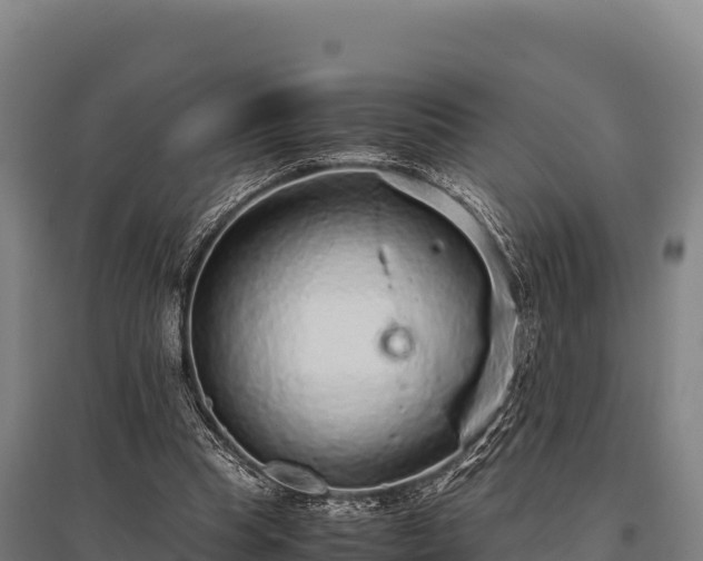 X0000095950345200801181427