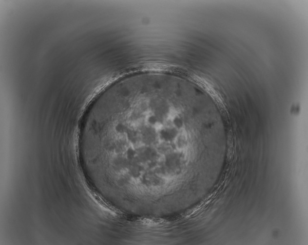 X0000095950346200801181427