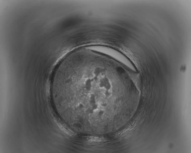 X0000095950347200801181427