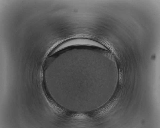 X0000095950348200801181427