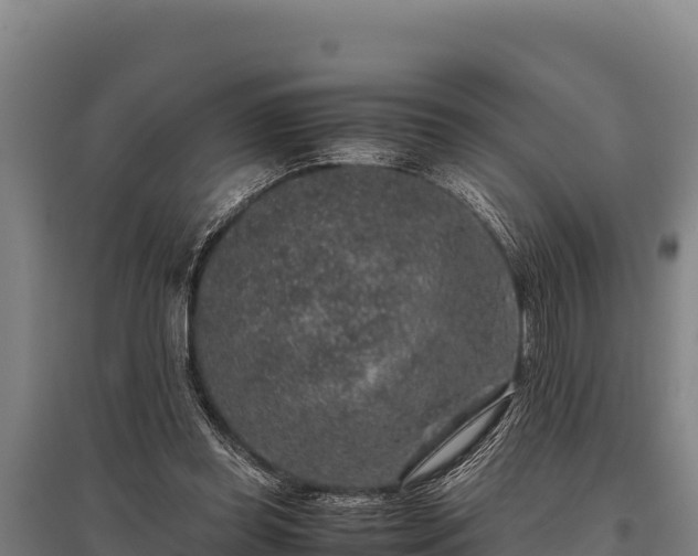 X0000095950349200801181427