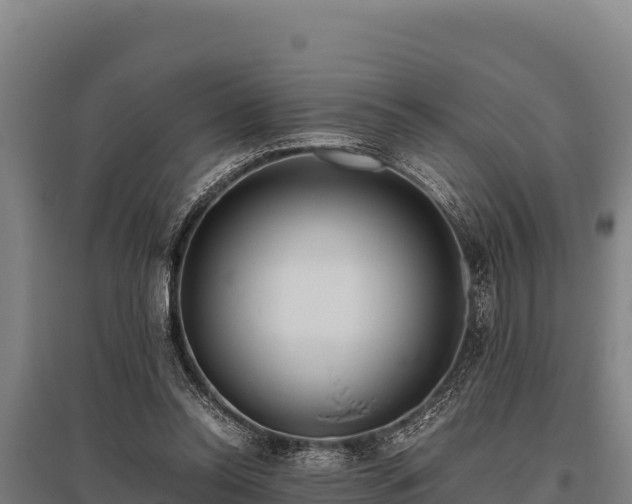 X0000095950350200801181427