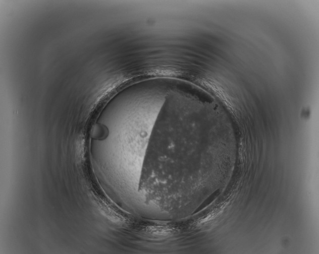 X0000095950351200801181427