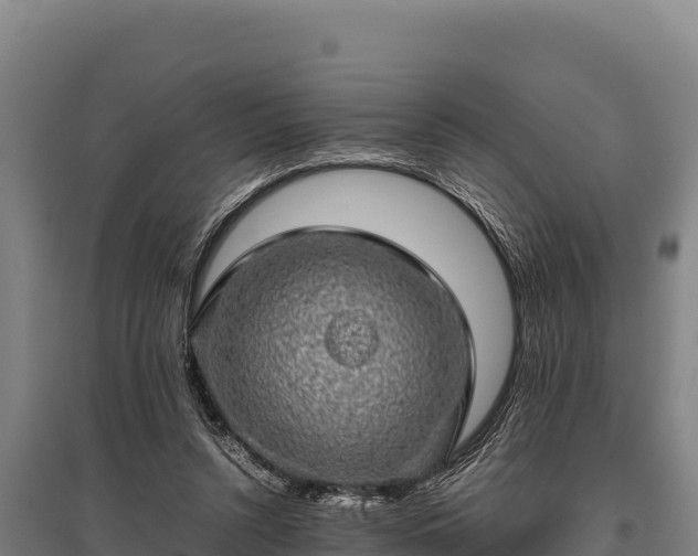 X0000095950352200801181427