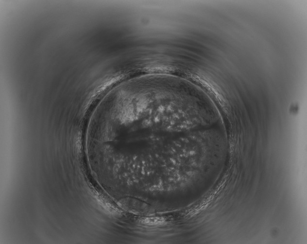 X0000095950353200801181427