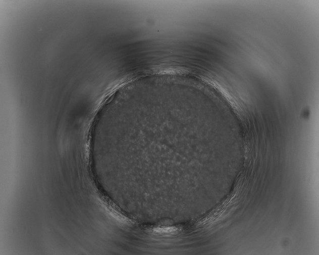 X0000095950357200801181427