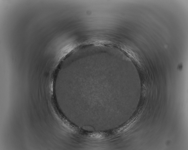 X0000095950358200801181427