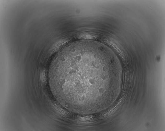 X0000095950359200801181427