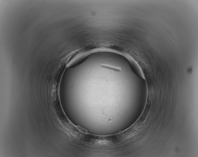 X0000095950360200801181427