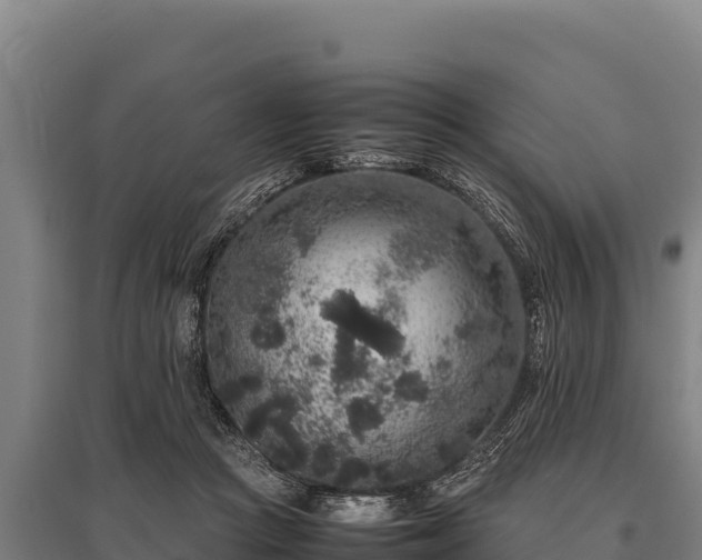 X0000095950361200801181427