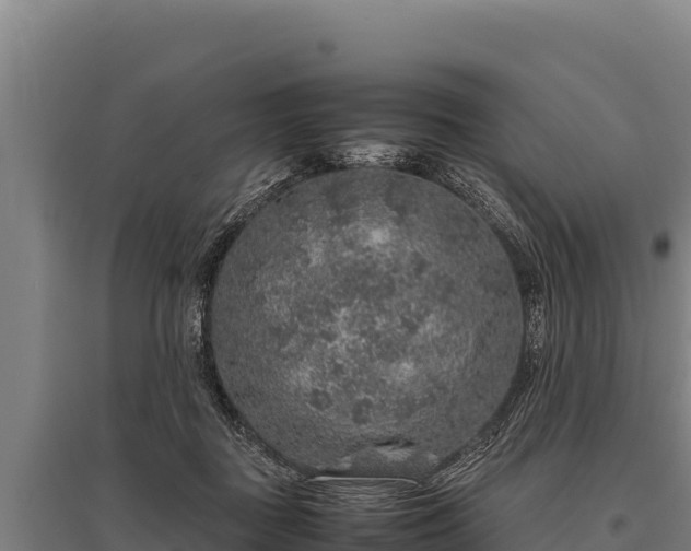 X0000095950363200801181427