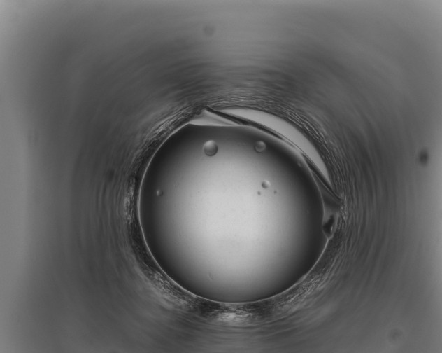 X0000095950364200801181427