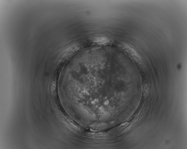 X0000095950365200801181427