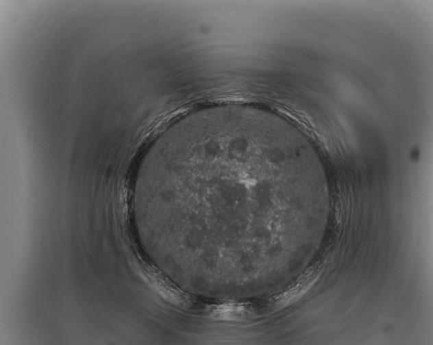 X0000095950366200801181427