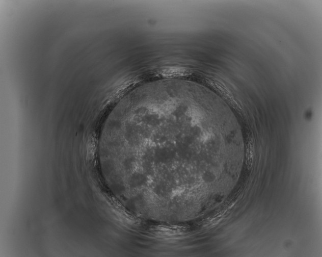 X0000095950367200801181427